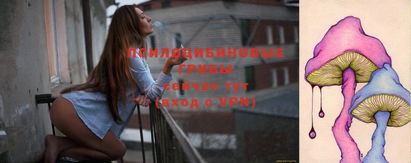 МДПВ Кулебаки