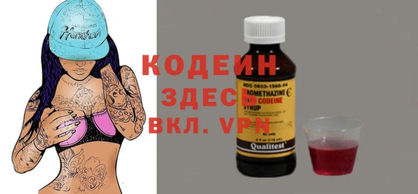 твердый Лагань
