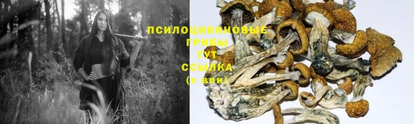 МДПВ Кулебаки